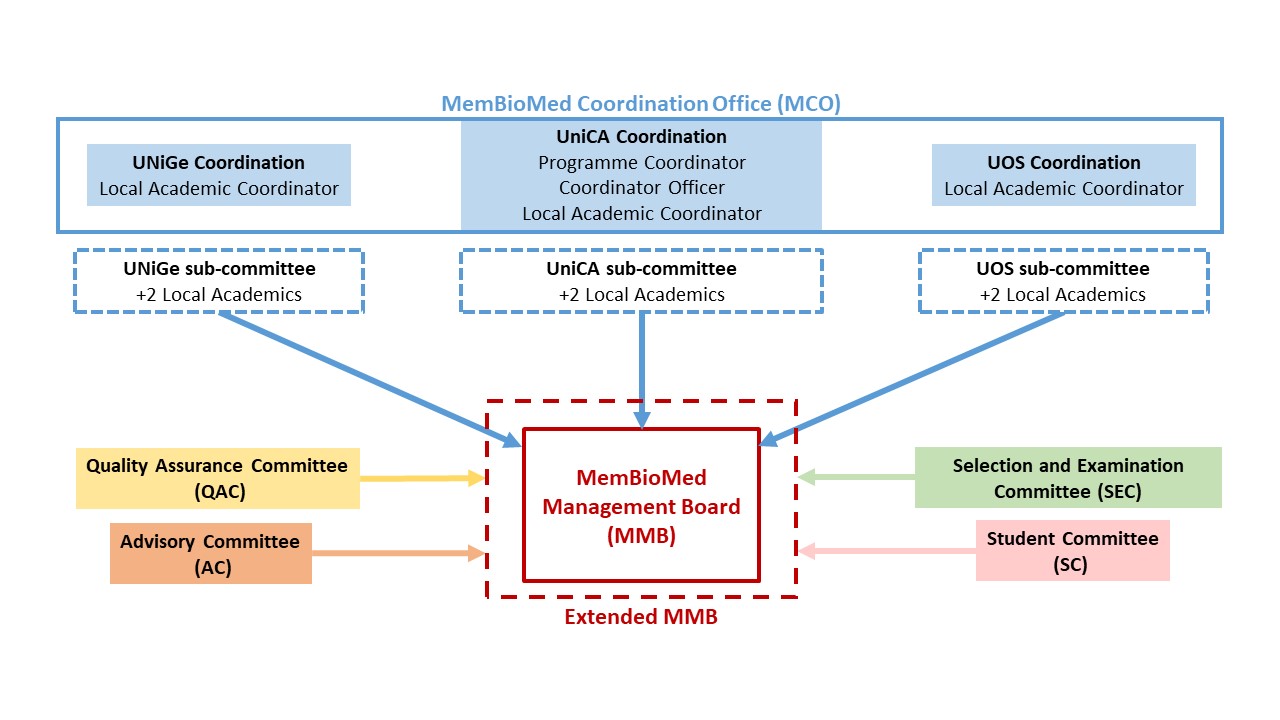 membiomed governing bodies