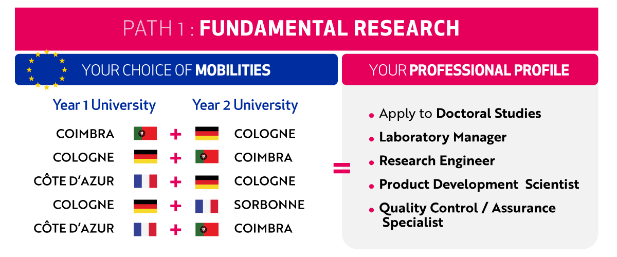 path 1 fundamental research